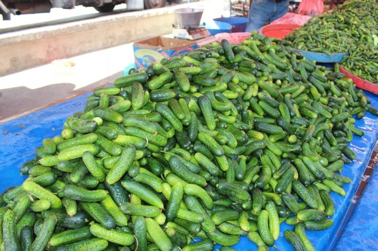 Niğde’de Turşuluk Telaşı Yaşanıyor