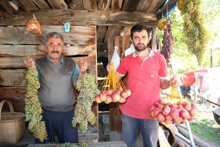 Hevenk Ettikleri Meyveleri Kışın Tüketiyorlar