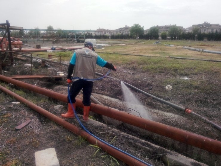 Vektörle Mücadele Aralıksız Sürüyor