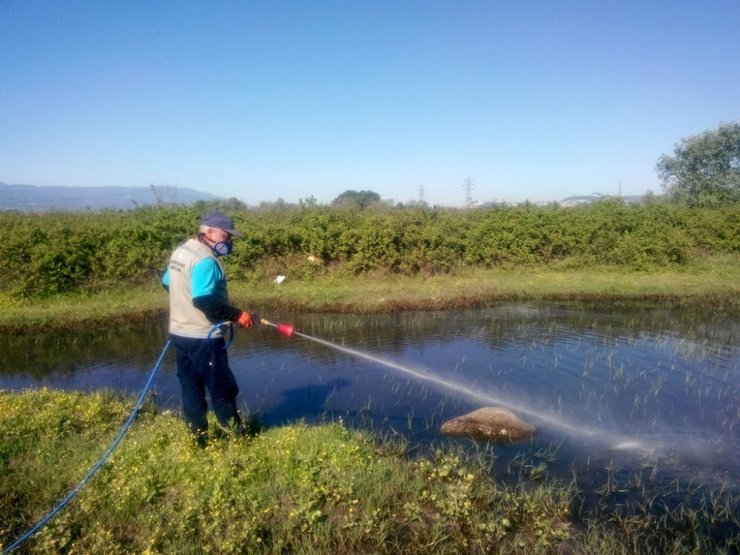 Vektörle Mücadele Aralıksız Sürüyor