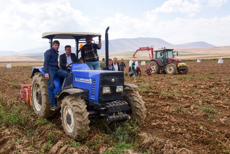 Ahlat’ta Patates Hasadı