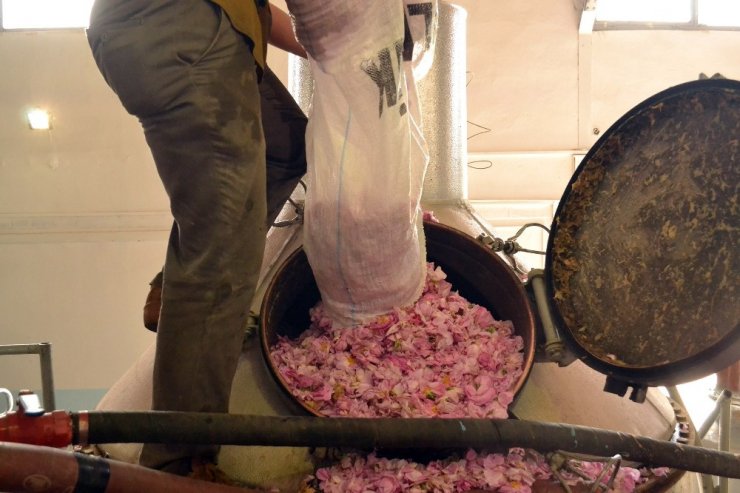 Türkiye Ekonomisine 40 Milyon Avroluk ’Gül’düren Katkı