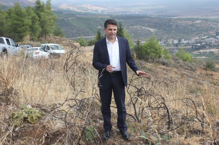 Yanan 25 Hektarlık Alana 26 Bin Fidan Dikildi