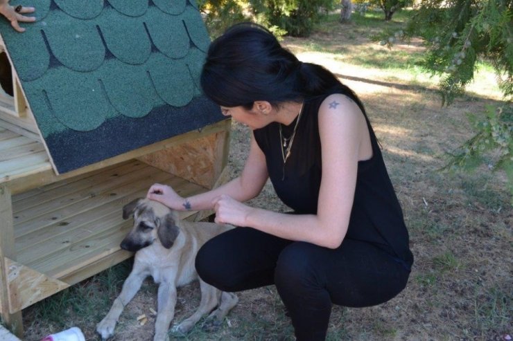 Sevimli Barınak Sakinlerini Unutmadı