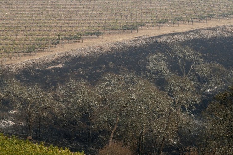 Kaliforniya’daki Yangınlarda Bilanço Artıyor