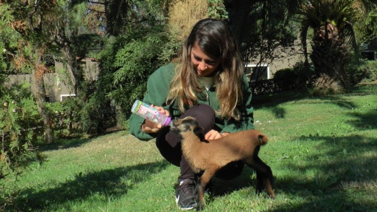 Hayvanat Bahçesi Yeni Misafirlerine Kucak Açtı