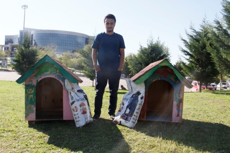 Sevgiyle Boyanan Kulübeler Onlara Yuva Oldu