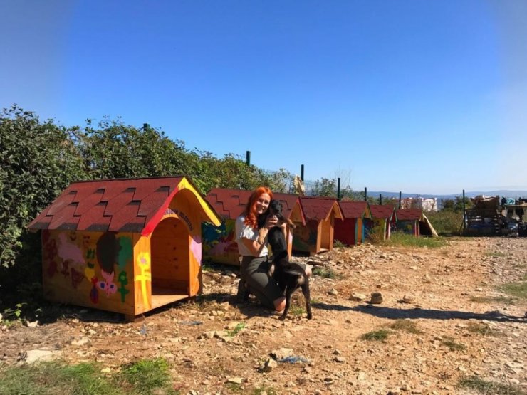 Sevgiyle Boyanan Kulübeler Onlara Yuva Oldu