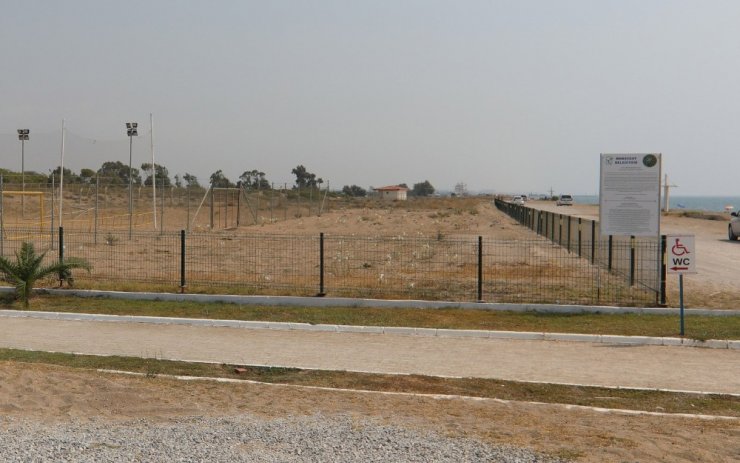 Koparanlara 38 Bin Tl Ceza Uygulanan Kum Zambakları Koruma Altında