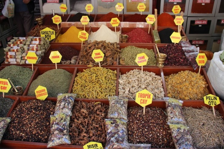 Gribal Enfeksiyonlardan Kurtulmanın Doğal Çözümü Kış Çayı