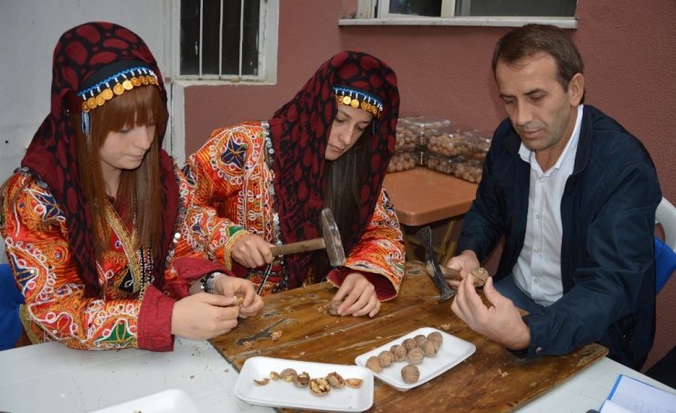 Niksar’da ’Altın Ceviz’ Seçmeleri Yapıldı