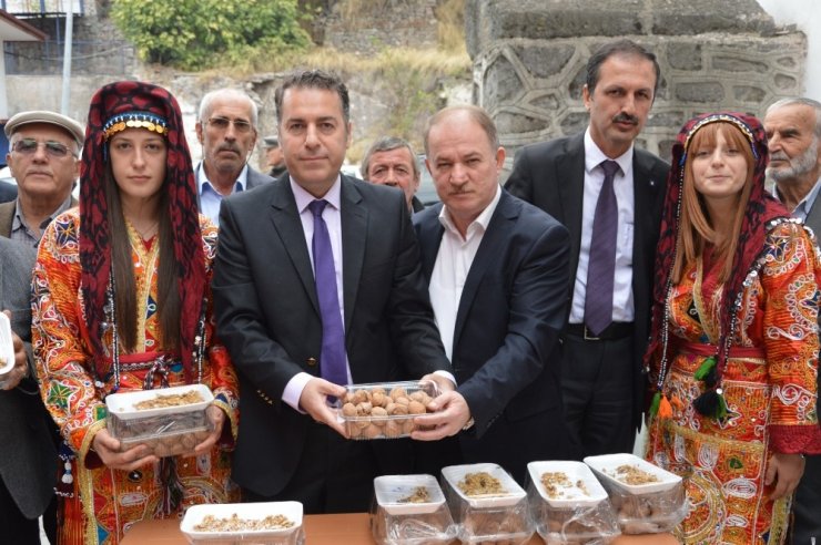 Niksar’da ’Altın Ceviz’ Seçmeleri Yapıldı