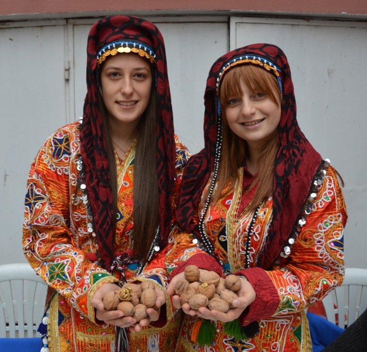 Niksar’da ’Altın Ceviz’ Seçmeleri Yapıldı