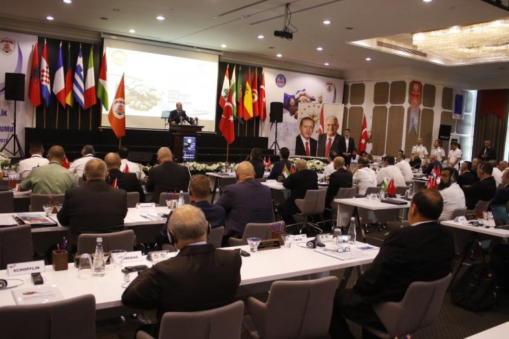 Bakan Soylu: "Düzensiz Göçte Yüzde 98’lik Düşüş Yakaladık"