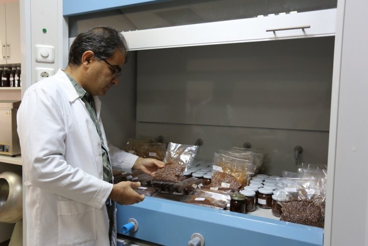 Kara İsotta Kanserojen Madde Tespit Edildi