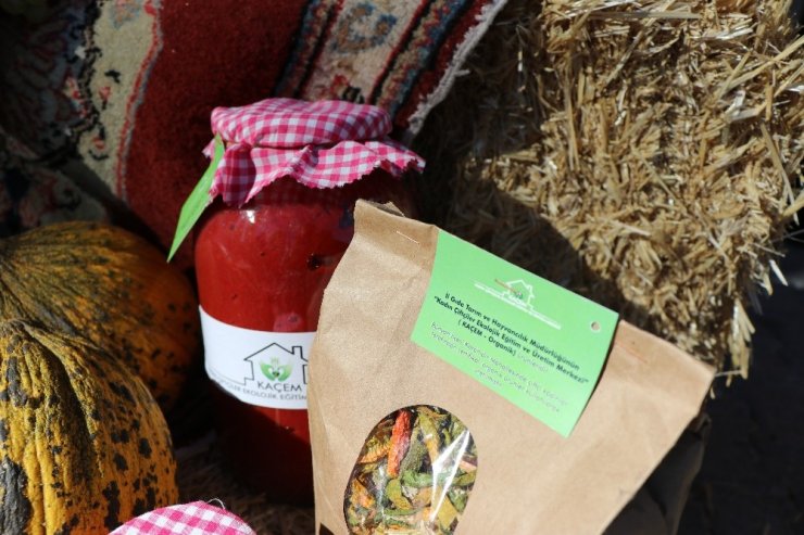 Kadın Çiftçiler Kaçem İle Ekonomilerine Katkı Sağlayacak