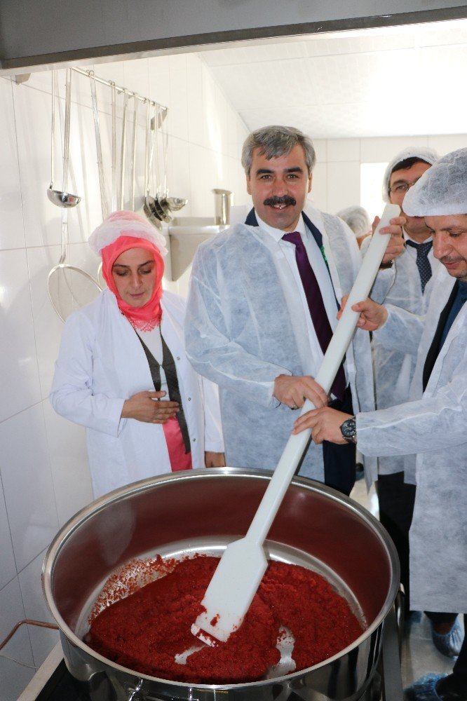 Kadın Çiftçiler Kaçem İle Ekonomilerine Katkı Sağlayacak