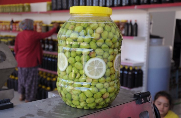 Genç Girişimci Atanamayınca Zeytin Kırma Tesisi Kurdu