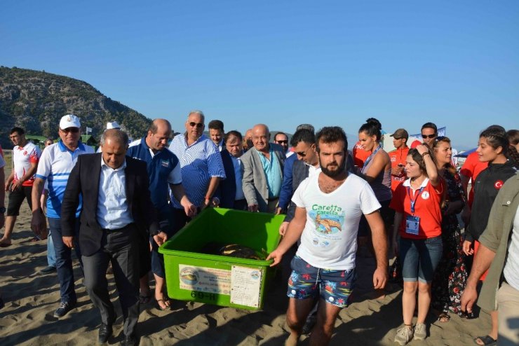 Tedavisi Tamamlanan Caretta Caretta Denize Bırakıldı