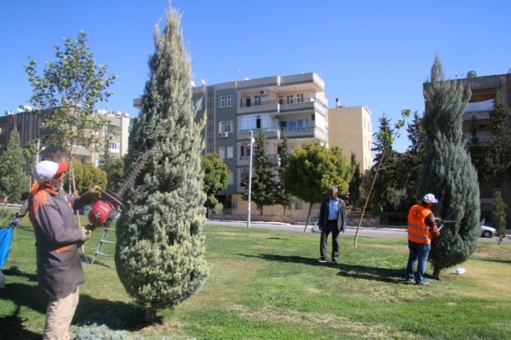 Şanlıurfa Bilim Şenliğine Hazırlanıyor