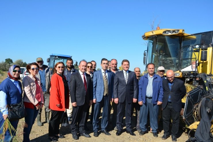 Çeltik Altın Yılını Yaşıyor