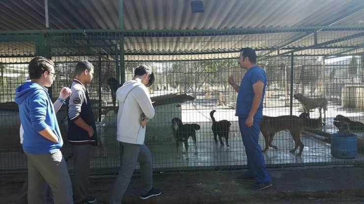 Burhaniye’de Öğrencilerin Hayvan Sevgisi Takdir Topladı