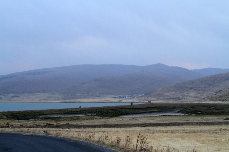 Çıldır Gölü’nün Simgesi Sarı Sazanlar, ‘Sessiz Sedasız’ Yok Oluşun Eşiğinde