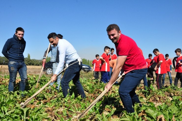 Rizeli Gençler, Elbistan’da Horon Eşliğinde Pancar Söktü