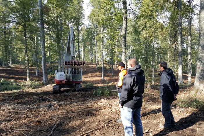 Gölyaka’da Doğal Gençleştirme Çalışmalarında Sona Yaklaşıldı