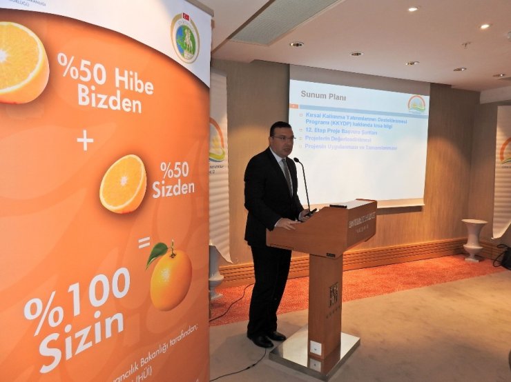 Kırsal Kalkınma Yatırımlarına Hibe Desteği