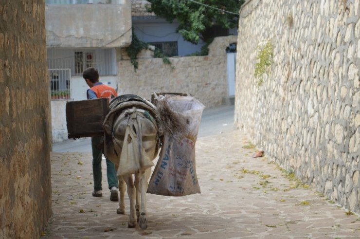 Üniversiteli Çöpçü Polis Olmak İstiyor