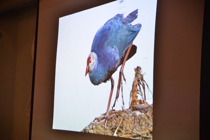 ‘Fotoğraf Avcılarına Rastgele’