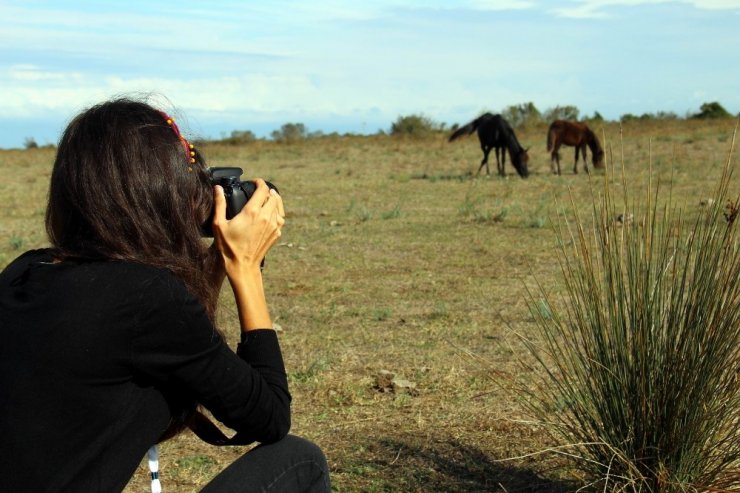 ‘Fotoğraf Avcılarına Rastgele’