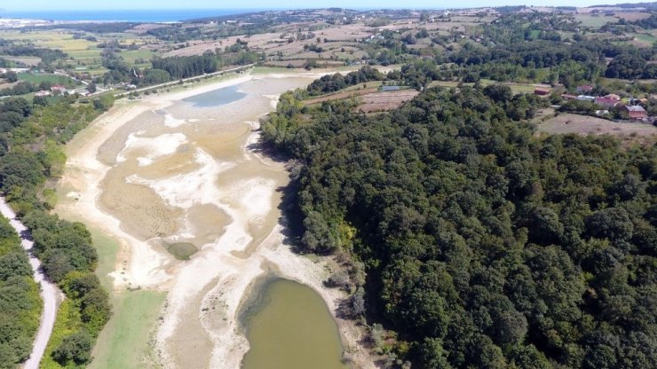 Sinop’ta Balık Ölümleri Devam Ediyor