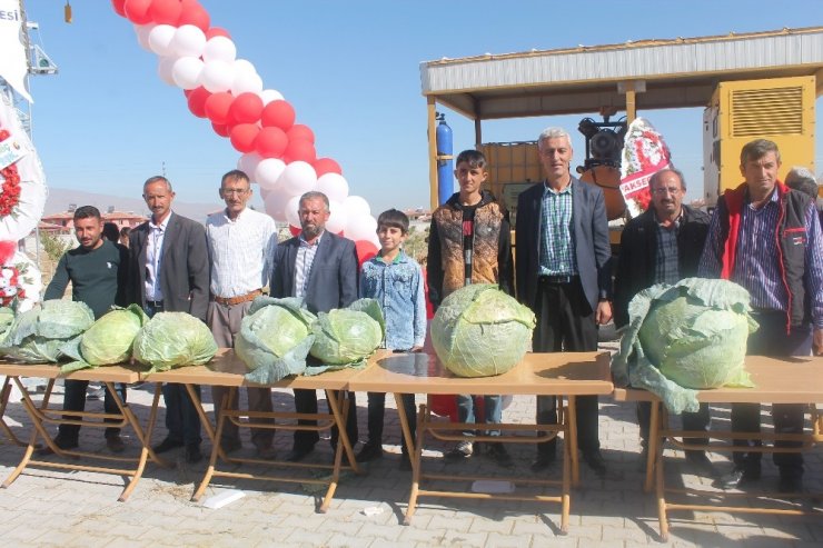 Canan Karatay: "Lahana Turşusu, Dünyanın En Önemli Tıbbi Malzemelerinden Biri"