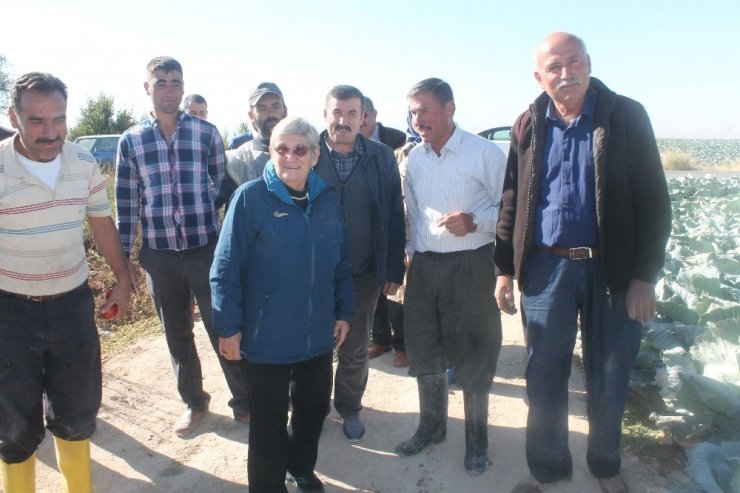 Canan Karatay: "Lahana Turşusu, Dünyanın En Önemli Tıbbi Malzemelerinden Biri"