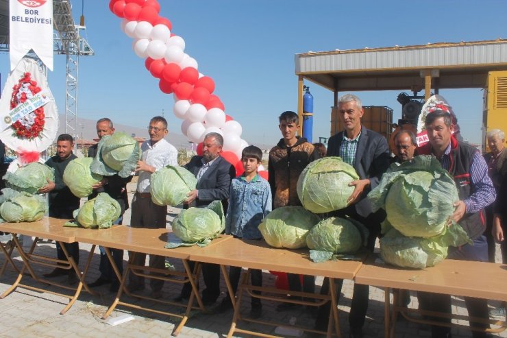 Canan Karatay: "Lahana Turşusu, Dünyanın En Önemli Tıbbi Malzemelerinden Biri"