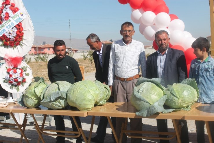 Canan Karatay: "Lahana Turşusu, Dünyanın En Önemli Tıbbi Malzemelerinden Biri"