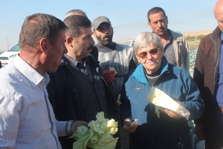 Canan Karatay: "Lahana Turşusu, Dünyanın En Önemli Tıbbi Malzemelerinden Biri"