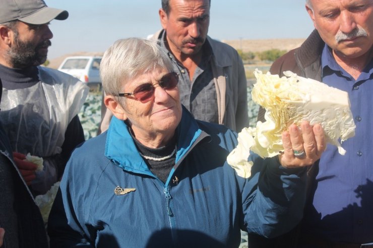 Canan Karatay: "Lahana Turşusu, Dünyanın En Önemli Tıbbi Malzemelerinden Biri"