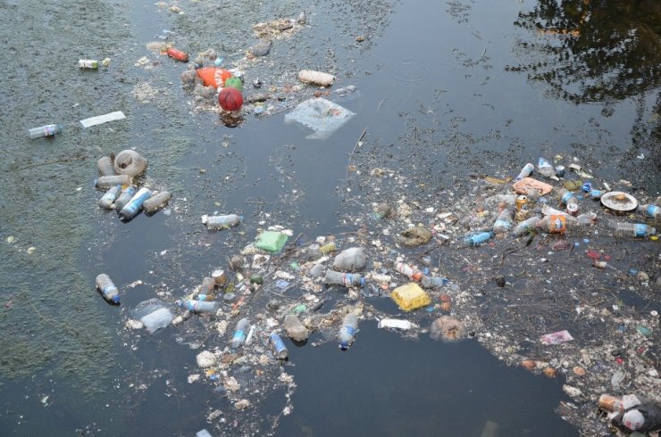 Hastane Yakınında Mikrop Yuvası