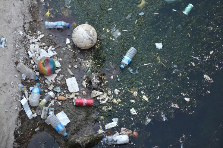 Hastane Yakınında Mikrop Yuvası