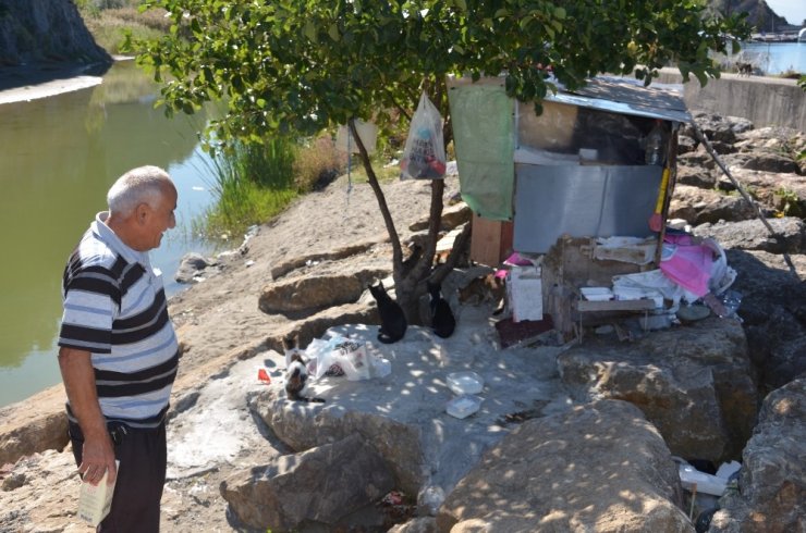 19 Yıldır Emekli Maaşını Kediler İçin Harcıyor