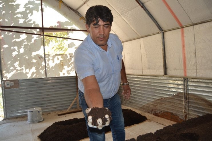 Kurduğu Tesiste Ayda 2 Ton Solucan Gübresi Üretiyor