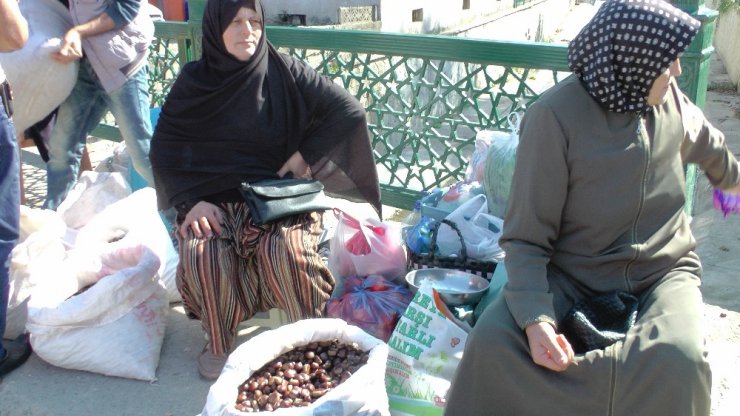 Kestane Köylünün Yüzünü Güldürdü
