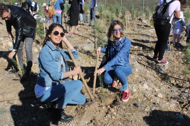 Her Daire İçin Bir Fidan