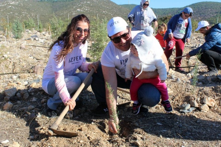 Her Daire İçin Bir Fidan