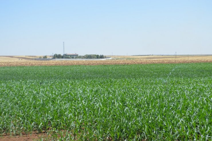 Çiftçi İthal Ürün İstemiyor