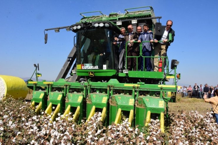 Şehzadeler’de Pamuk Hasadına Başlandı