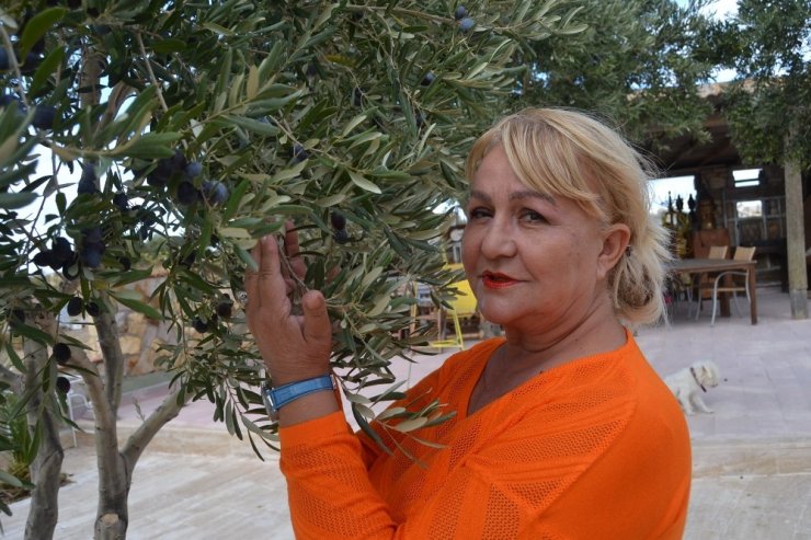 Ayvalık Uluslararası Sanat Arenası Olacak